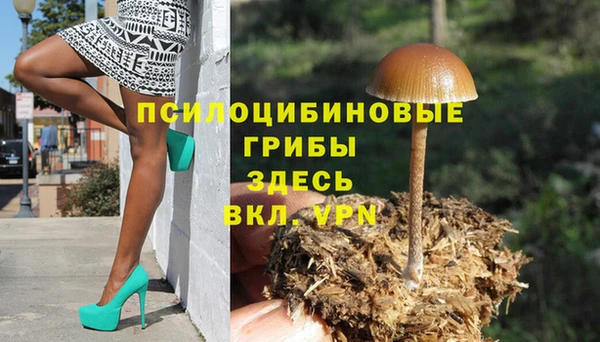 не бодяженный Алзамай