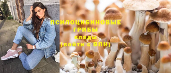 ALPHA PVP Алексин