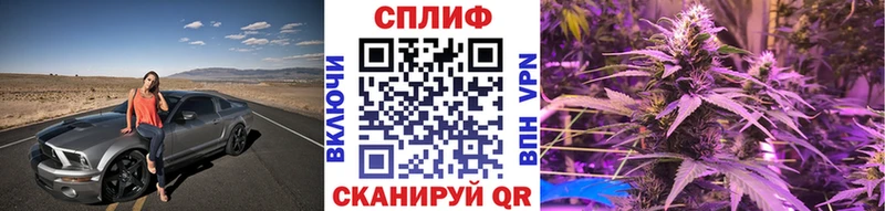 Канабис сатива Казань